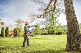 Best Hazardous Tree Removal  in Rapid City, MI